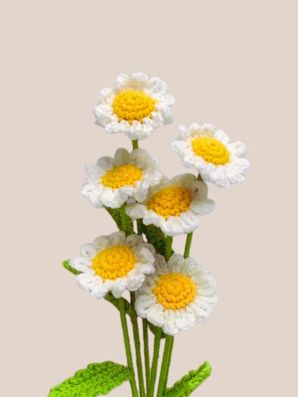 daisy flower